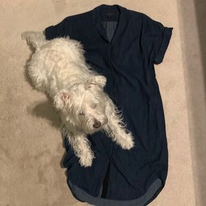 Rag & Bone denim dress